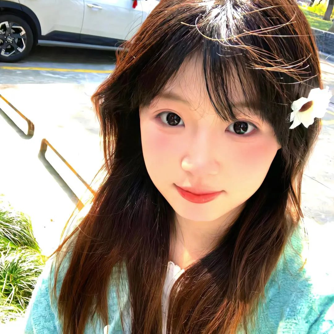 大项目